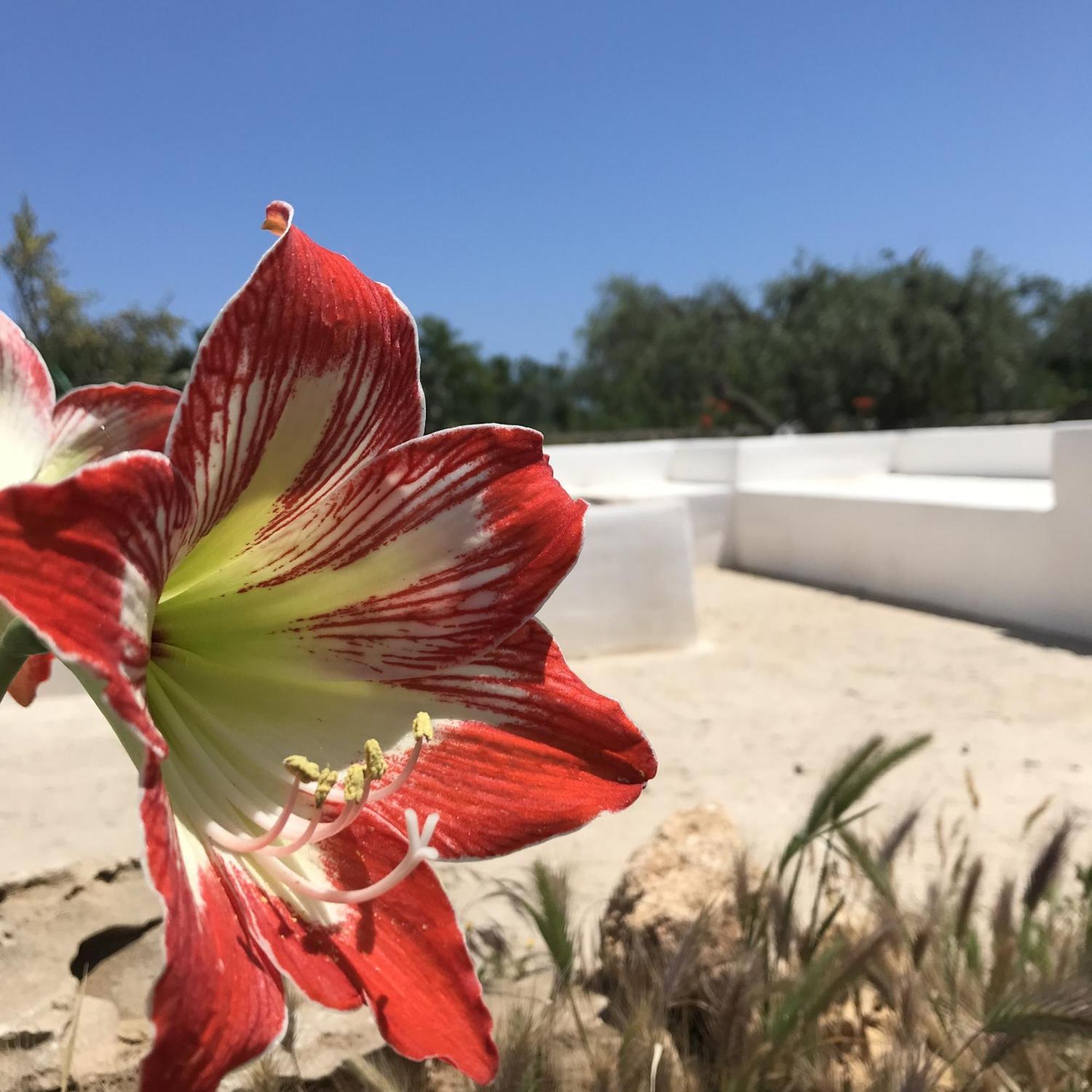Casapiuholidaysicilia-Adults Only Noto Esterno foto