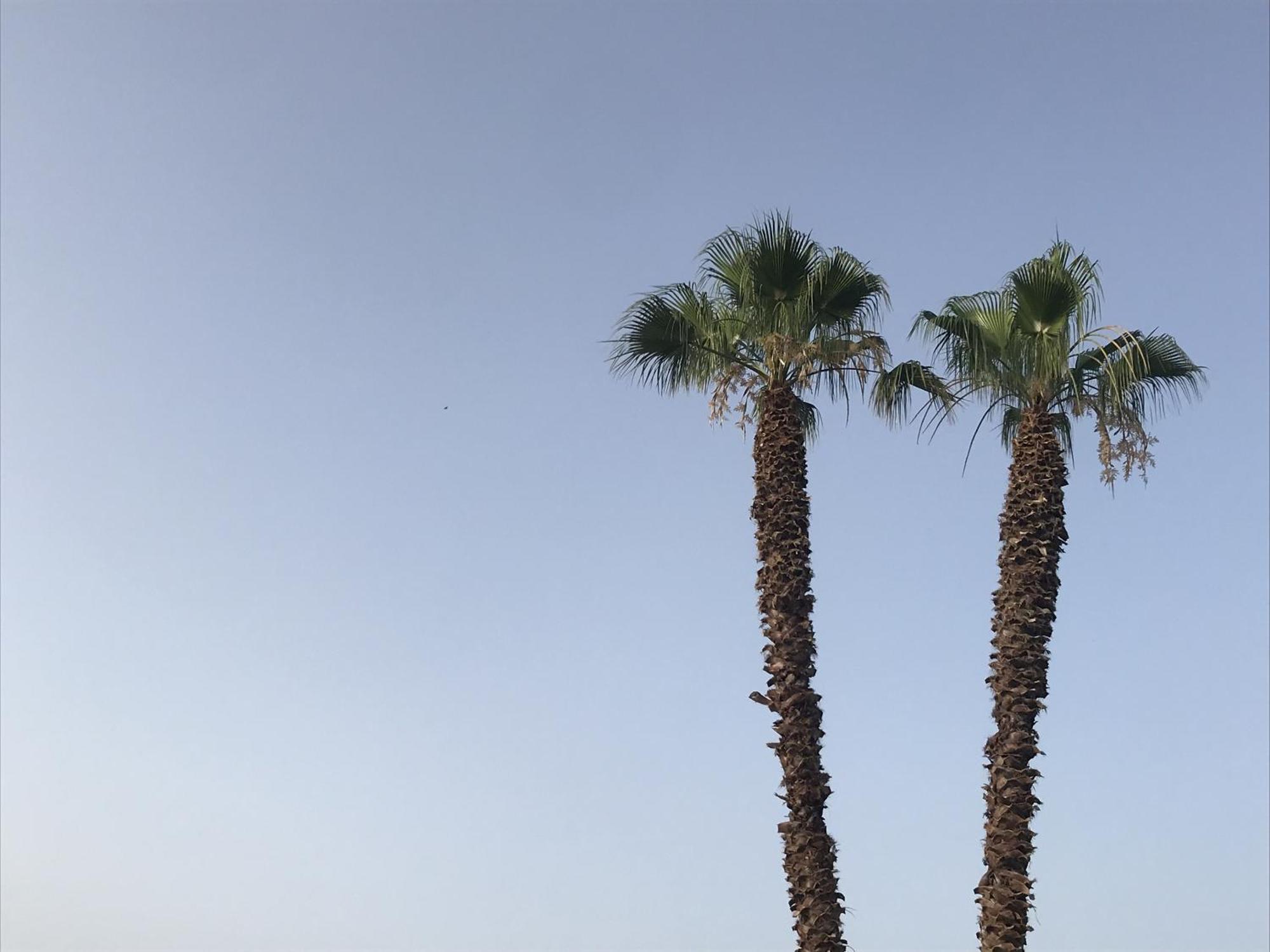 Casapiuholidaysicilia-Adults Only Noto Esterno foto