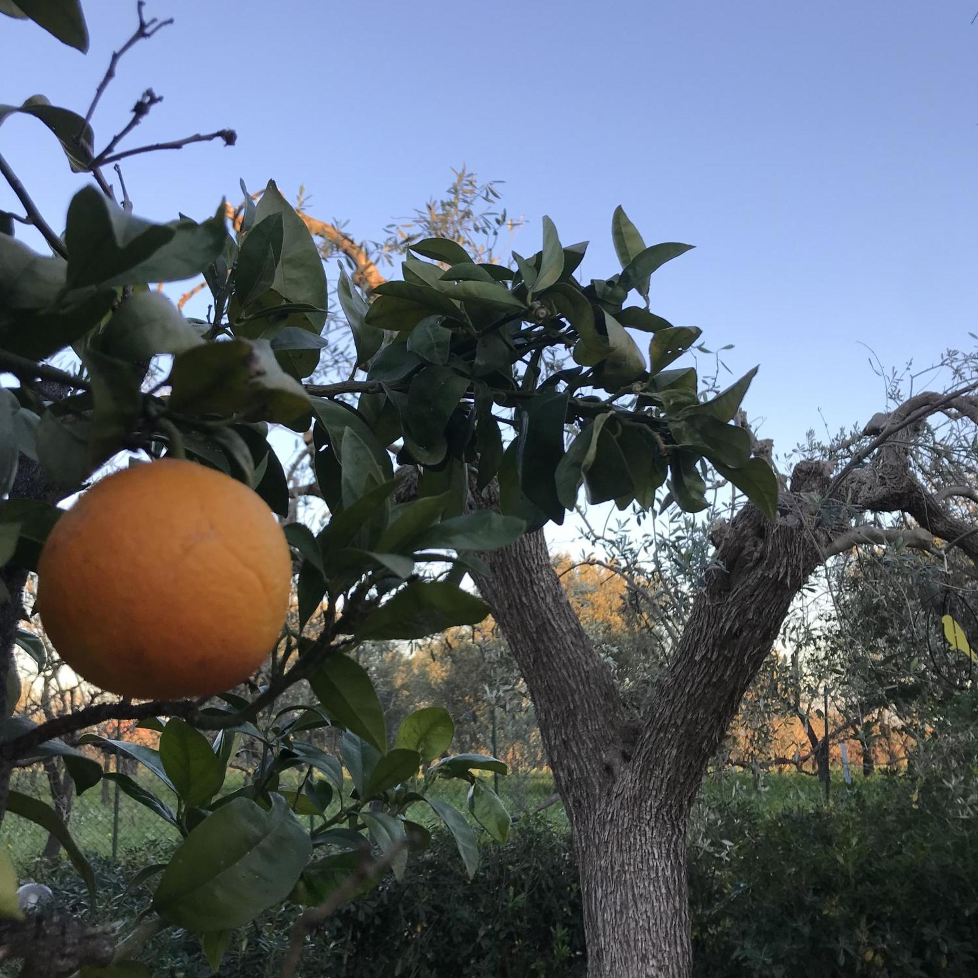 Casapiuholidaysicilia-Adults Only Noto Esterno foto