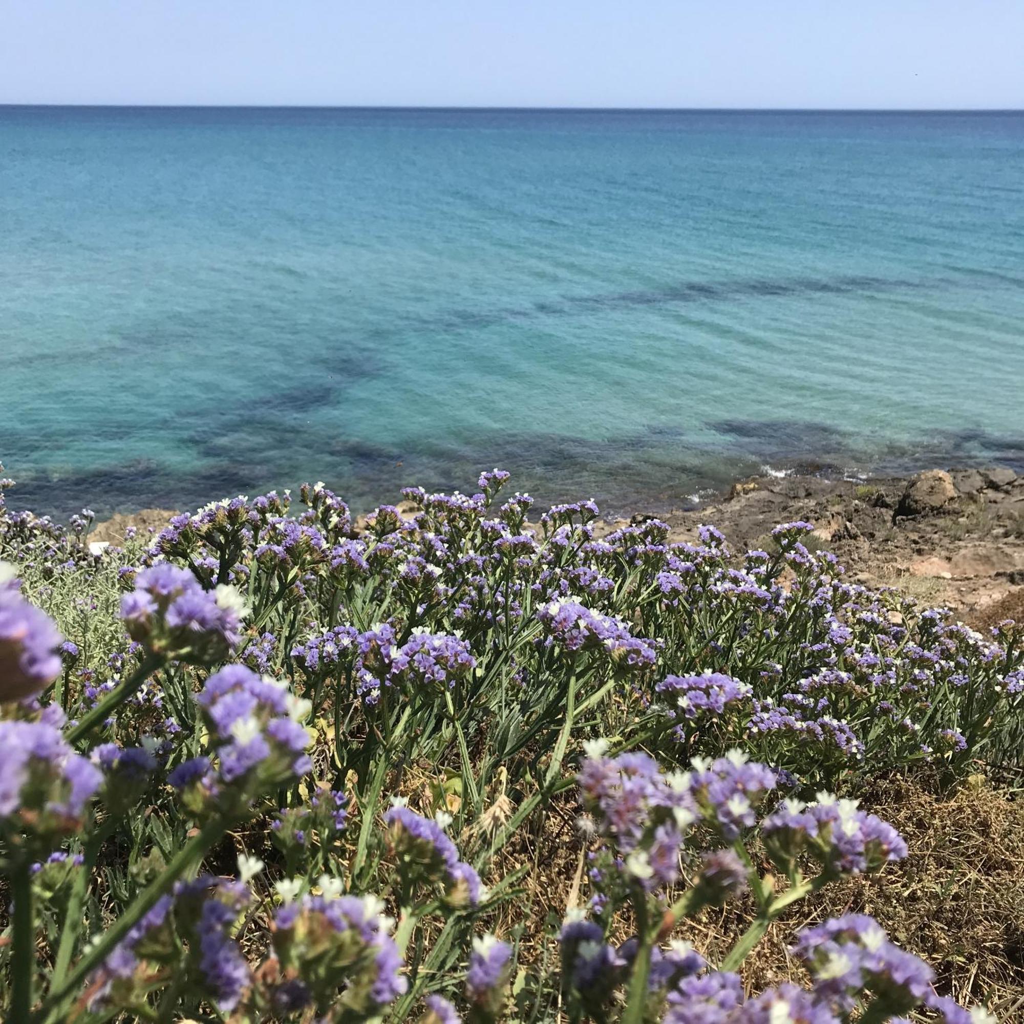 Casapiuholidaysicilia-Adults Only Noto Esterno foto
