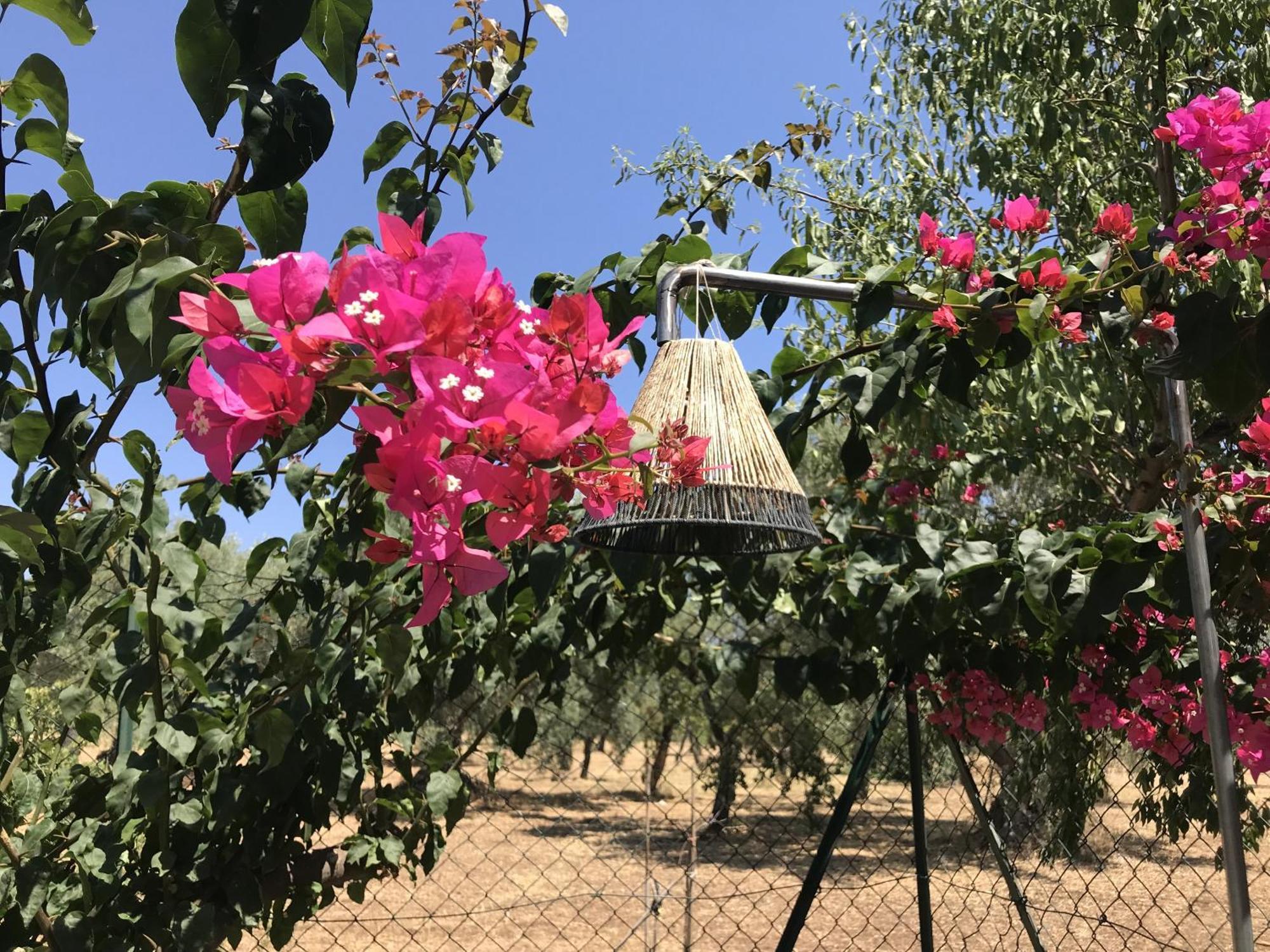 Casapiuholidaysicilia-Adults Only Noto Camera foto
