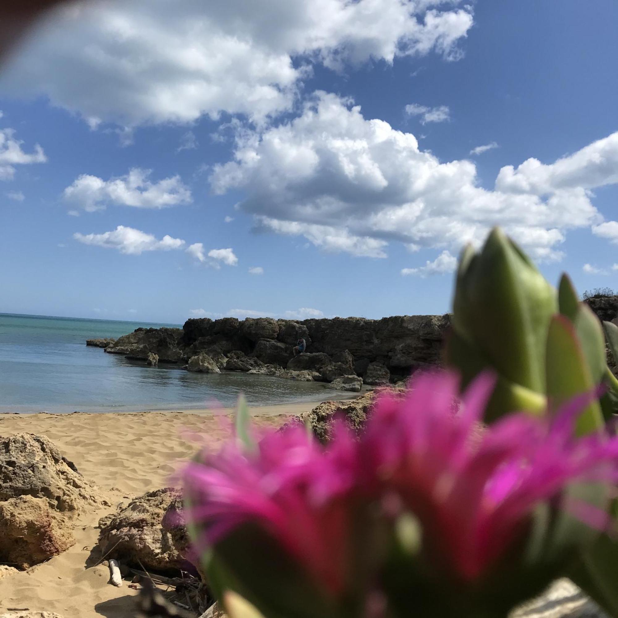 Casapiuholidaysicilia-Adults Only Noto Esterno foto